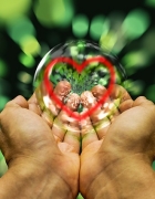 פירות וירקות ישירות מהחקלאי – כל היתרונות