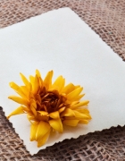 המיקום הגיאוגרפי של צימרים בראש פינה – יתרון