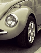 זה הזמן לשלוח פרחים ליום האישה הבינלאומי!