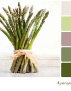 בדק בית – למה להוציא כסף