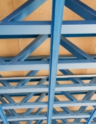 בדק בית- לא לרכוש חתול בשק