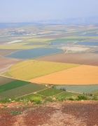 שעון נוכחות וירטואלי