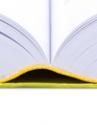 הרצאות תוכן לכנסים מקצועיים/עסקיים