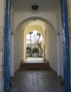 הקשר שבין גרפולוגיה לכישרון