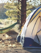 קורס מאמנים – האפשרויות הקיימות בשוק הישראלי